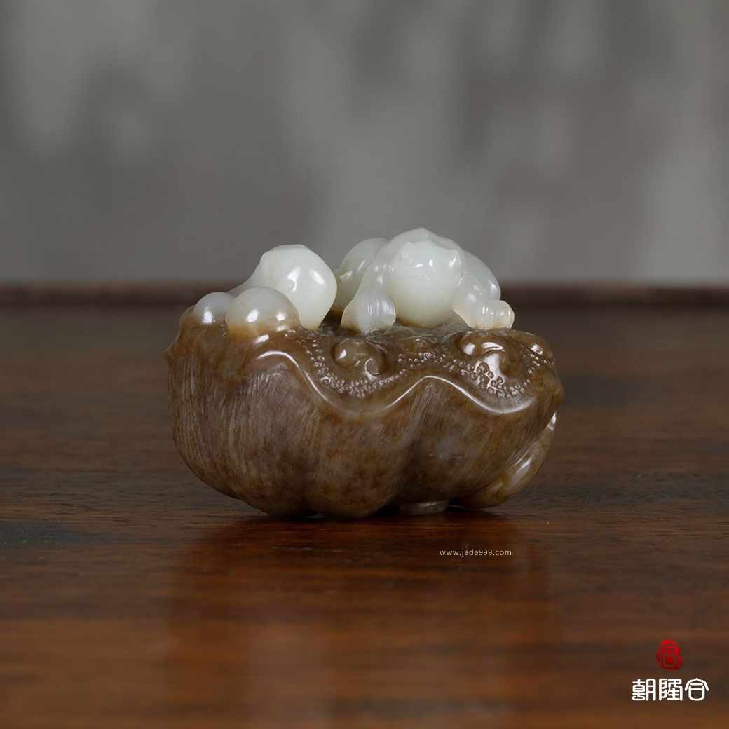 呱呱來(lái)財(cái)