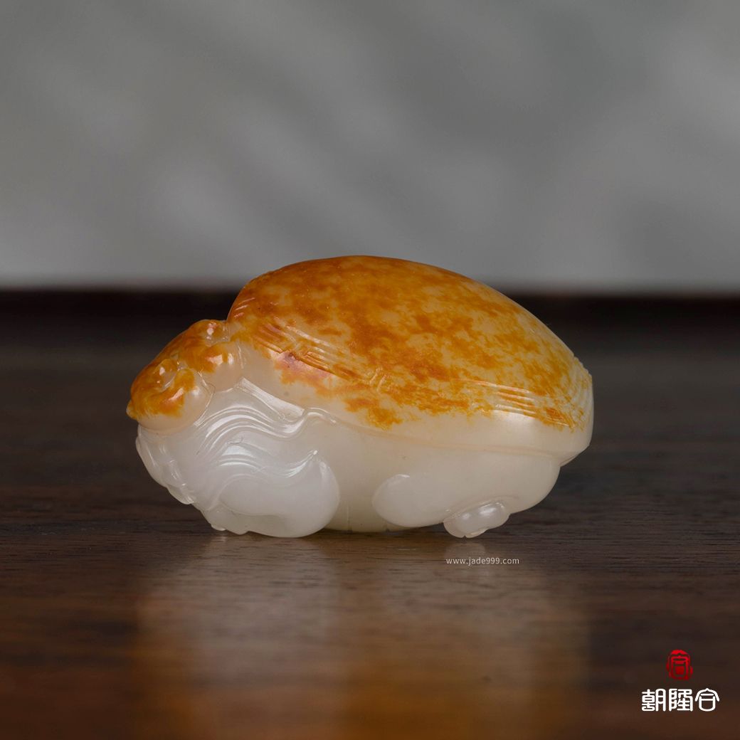 龍龜