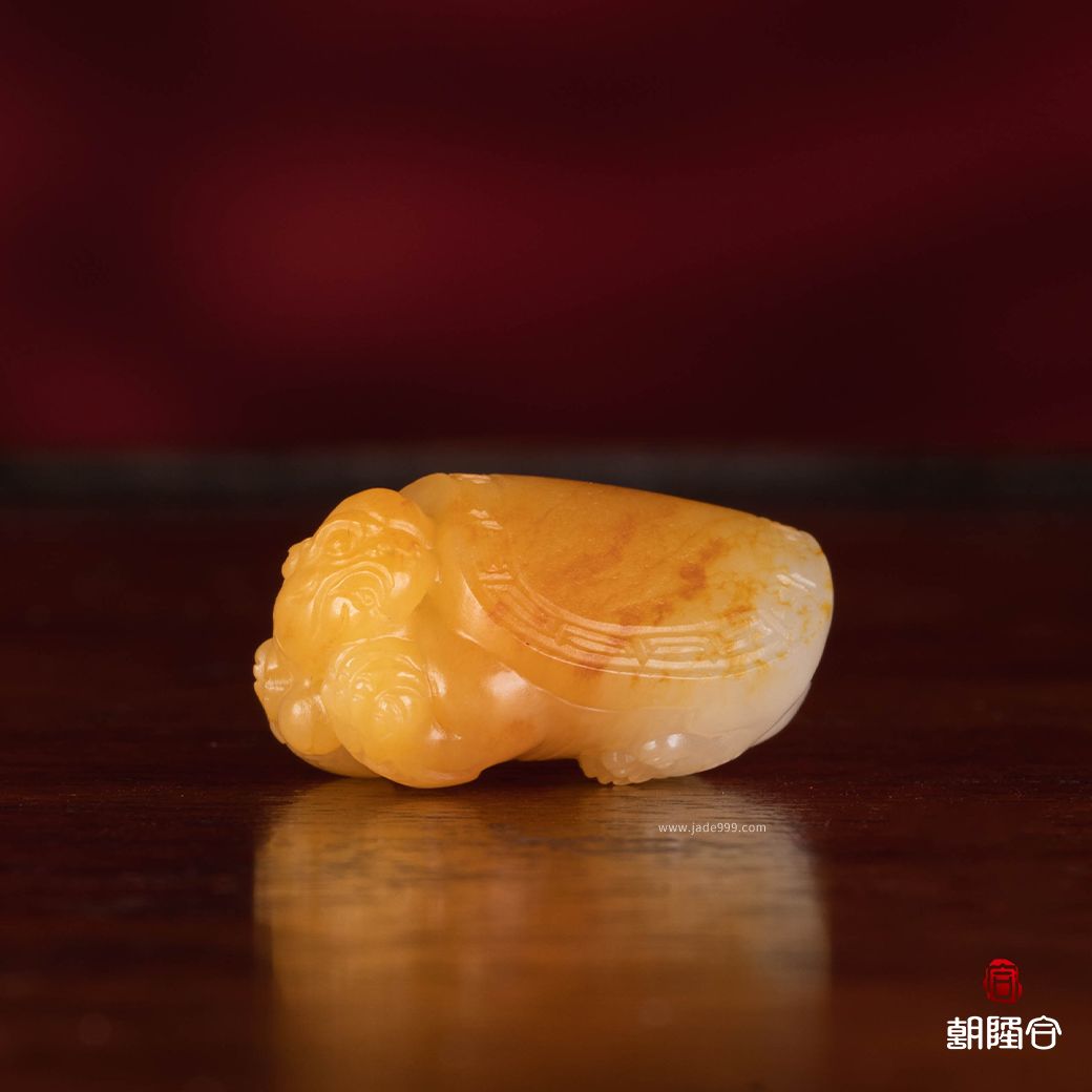 龍龜