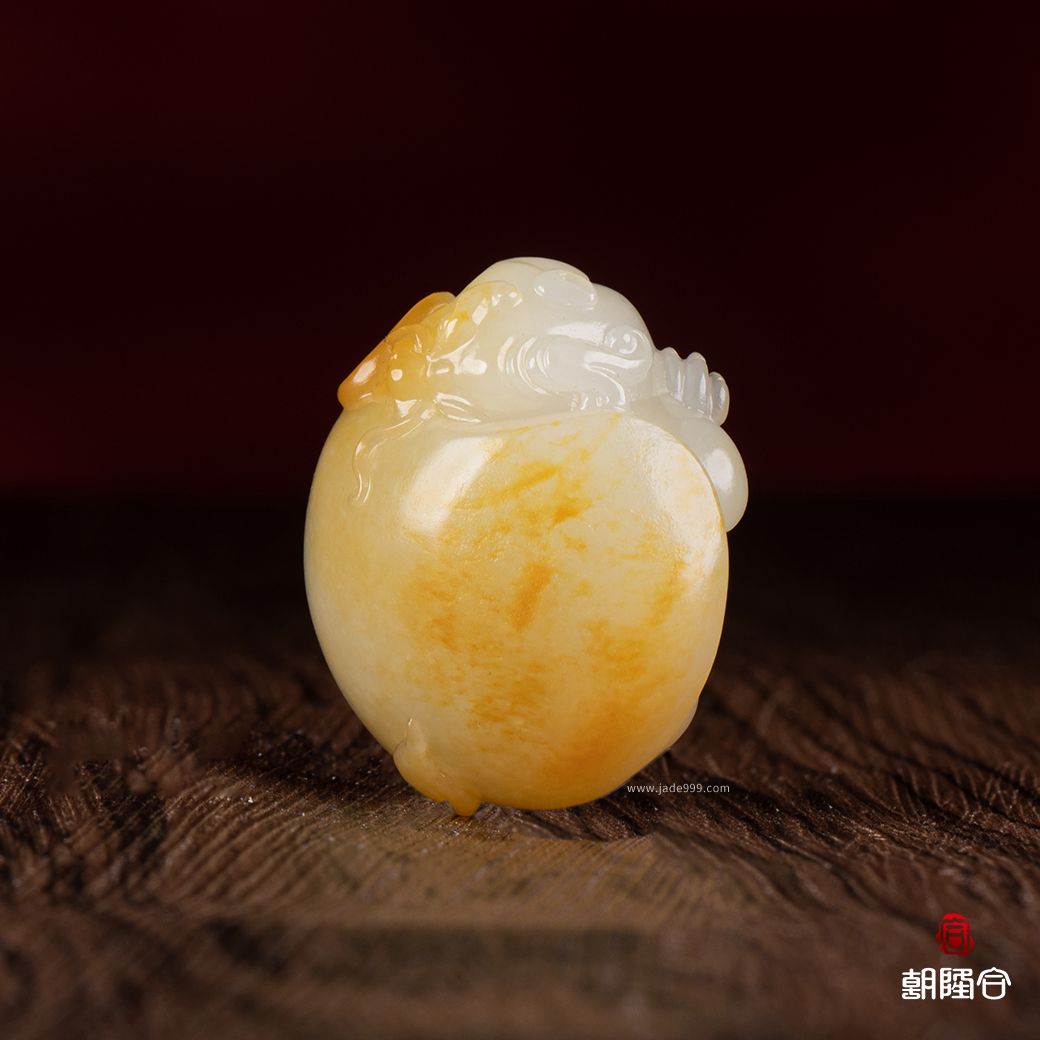 龍龜