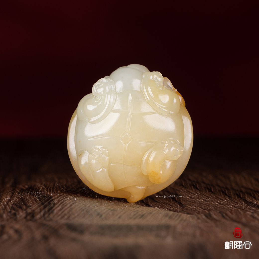 龍龜