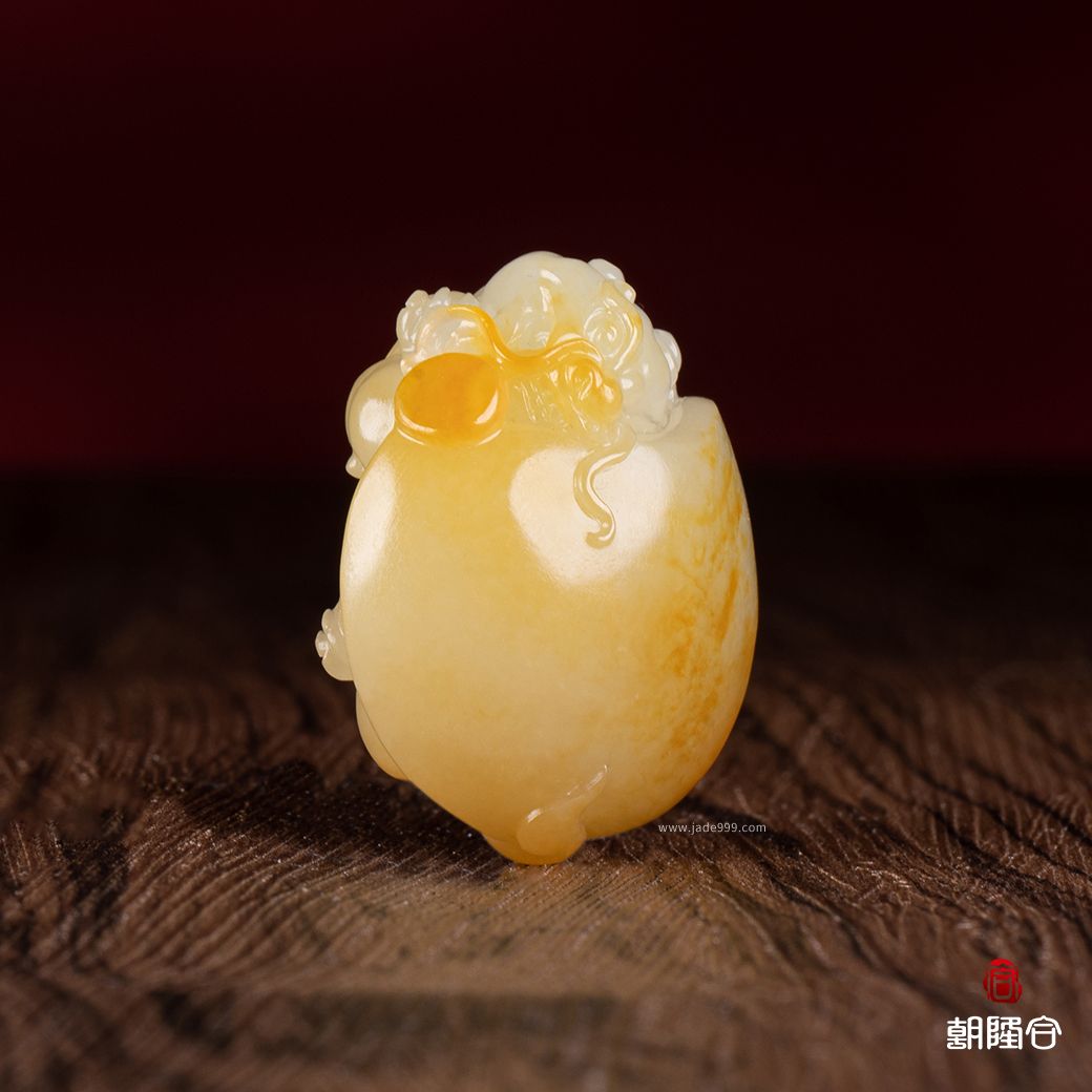 龍龜