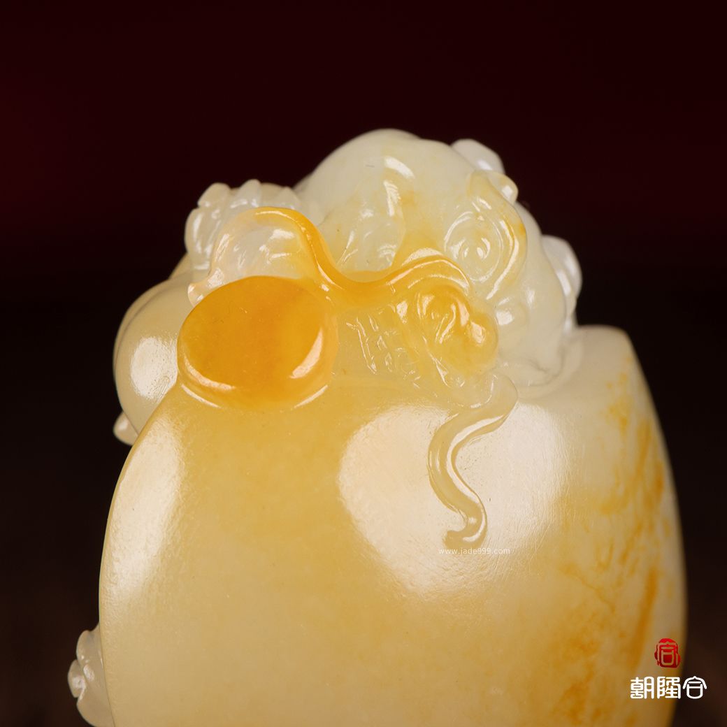 龍龜