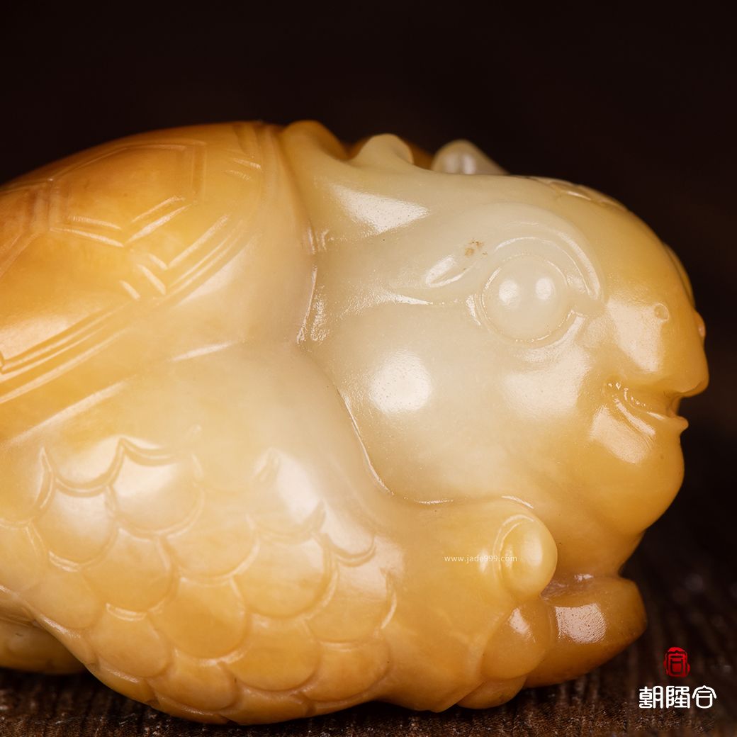 龍龜