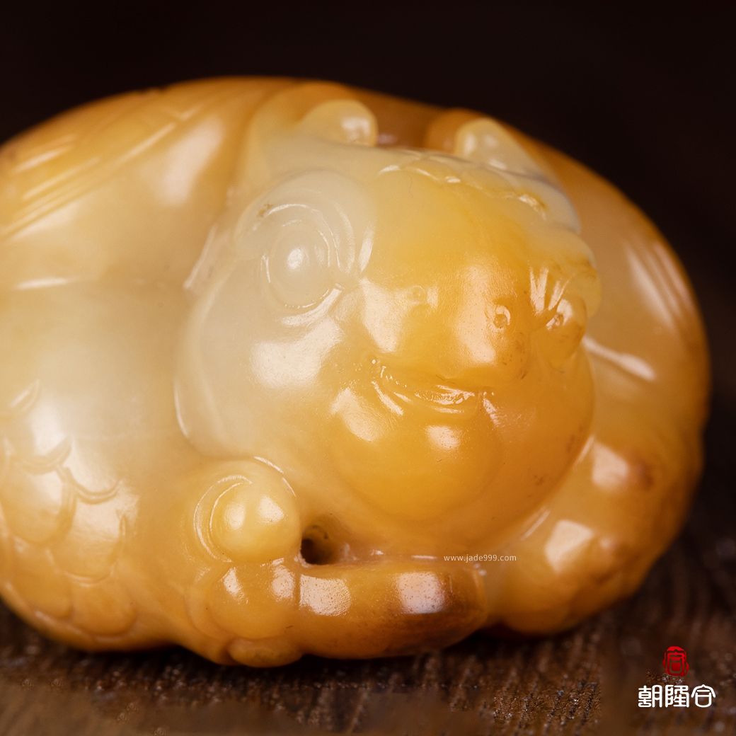 龍龜