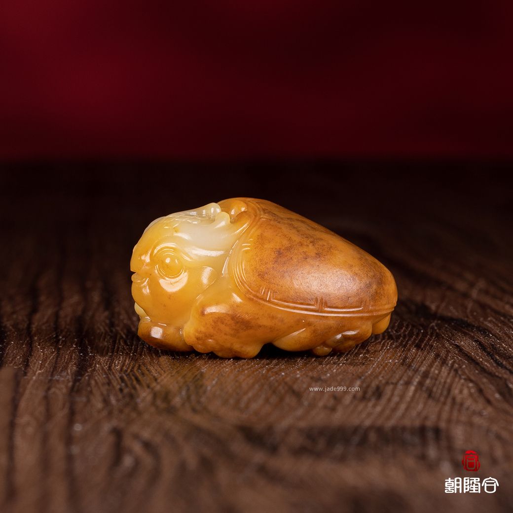 龍龜