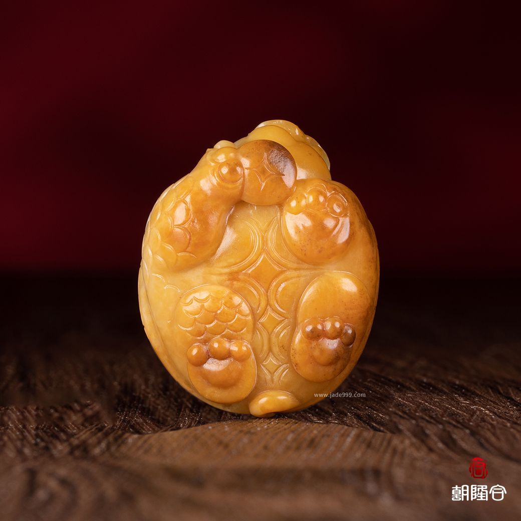 龍龜