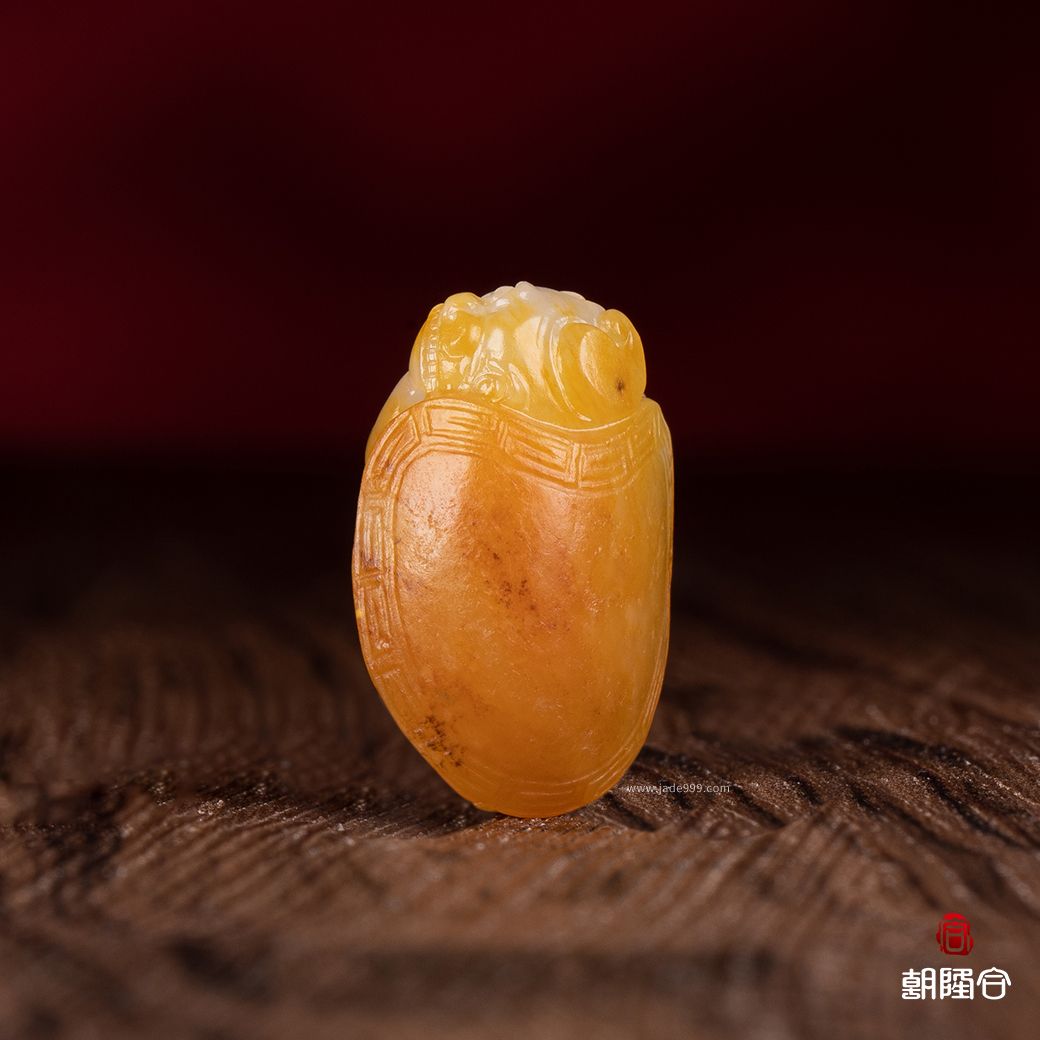 龍龜