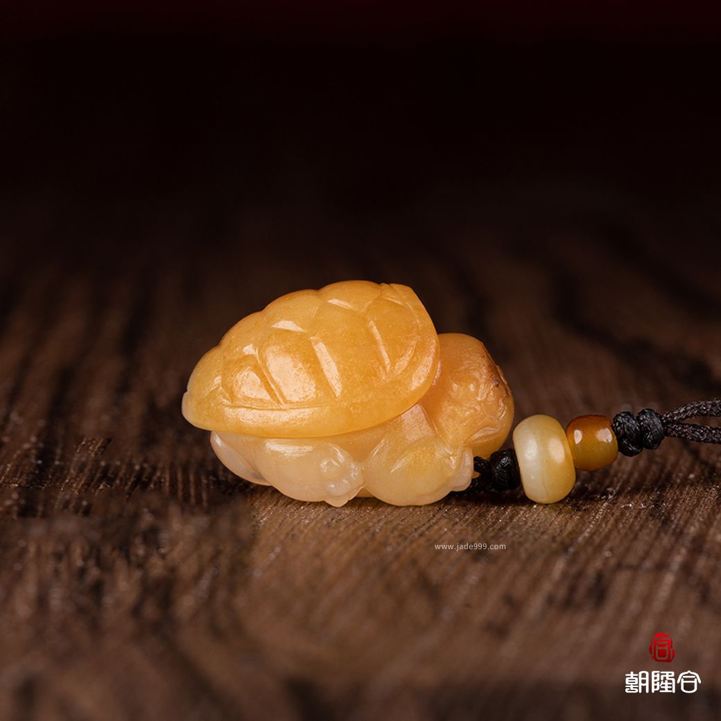 龍龜